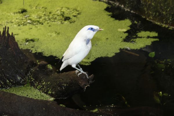 - Bild: Michael Mertens